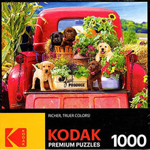 Load image into Gallery viewer, Kodak Premium Puzzles Stowaways 1000pcs