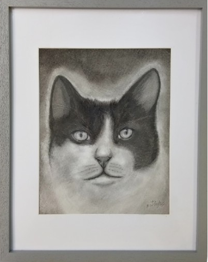 Framed drawing of a cat's face with a gray border