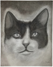Load image into Gallery viewer, Artistic drawing of a cat&#39;s face on a textured background
