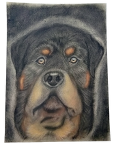 Load image into Gallery viewer, Artistic depiction of a Rottweiler dog's face on a textured background
