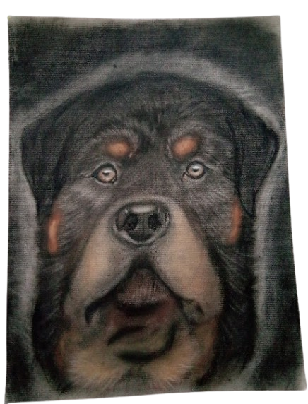 Black/Brown Charcoal Rottweiler 9x12 inch Original Drawing Art By: Doug's Doodles - Option of Frame
